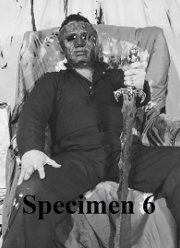 Образец № 6 (2020) Образец № 6 (2020)