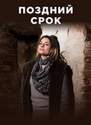 Поздний срок (2019) Поздний срок (2019)