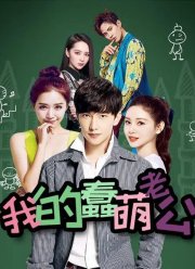 Мой милый глупый муж (2016) Мой милый глупый муж (2016)