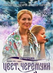 Цвет черемухи (2012) Цвет черемухи (2012)