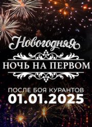 Новогодняя ночь на Первом. 30 лет вместе (2025) Новогодняя ночь на Первом. 30 лет вместе (2025)