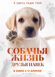 Собачья жизнь: Друзья навек (2023) Собачья жизнь: Друзья навек (2023)