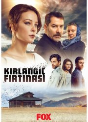 Шторм ласточки (2017) Шторм ласточки (2017)