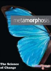 BBC: Искусство перевоплощения - метаморфоз (2013)