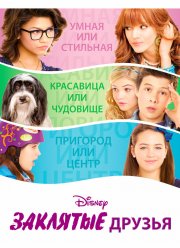 Заклятые друзья (2012)