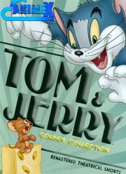 Том и Джерри (1-4 Сезон) Том и Джерри (1-4 Сезон)