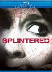 Раздвоение / Разлад (2010)