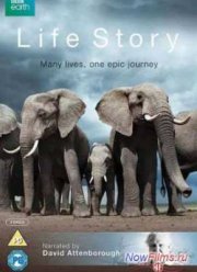 История Жизни (2014)