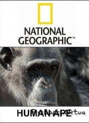 National Geographic:  ...? (2008)