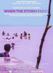 Когда утихнет буря (2018)