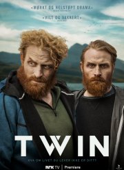 Близнец (2019)