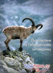 Путешествие по Тебердинскому заповеднику (2013)