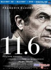 11.6 (2013)