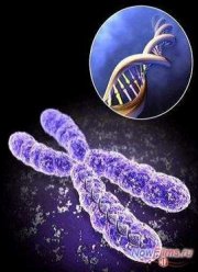 Смертельные опыты. Генетика (2014)