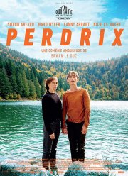 Пердрикс (2019)