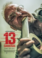 13  (2015)