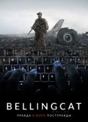 Bellingcat:     (2018)