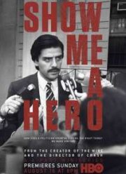 Покажите мне героя (2015)