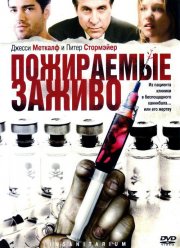   (2008)
