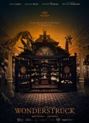 Мир, полный чудес (2017)