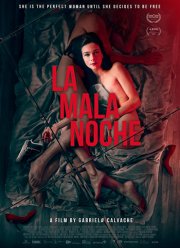 Плохая ночь (2019)