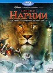 Эндрю Адамсон: Хроники Нарнии 1. Лев, колдунья и волшебный шкаф (DVD)