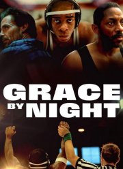 Ночной добродетель (2024)