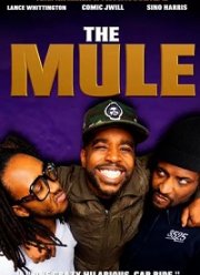 Наркокурьер (2020)