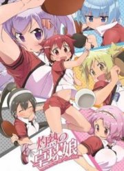 Знойный пинг-понг / Пинг-понг и девушки (2016)