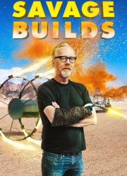 Дикие эксперименты Адама Сэвиджа (2019)