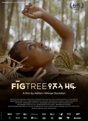 Инжир (2018) Инжир (2018)
