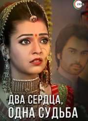 Два сердца, одна судьба (2013)