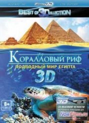 Риф 3D (мультфильм ) смотреть онлайн в хорошем качестве на hdrezka