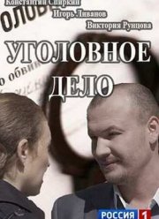 Уголовное дело (2015)