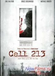  213 (2010)