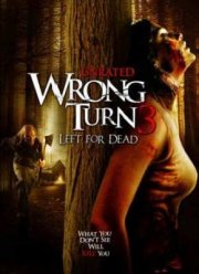 Поворот не туда 3 (2009) Поворот не туда 3 (2009)