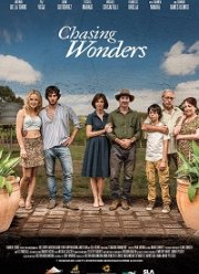 В поисках чуда (2020)
