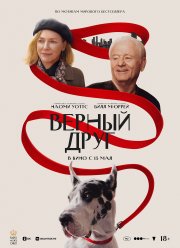 Верный друг (2024) Верный друг (2024)