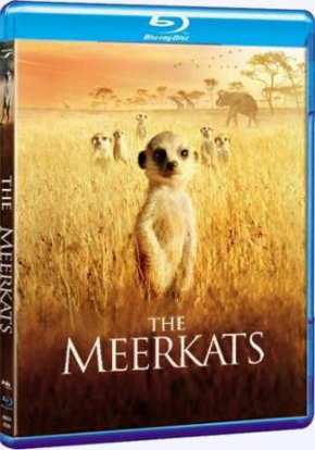 Сурикаты (2008)