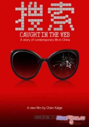 Пойманные в сеть (2012)