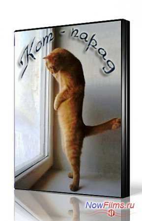 Кот-парад (2013)