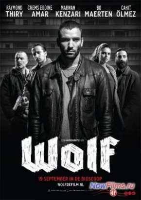 Волк (2013)