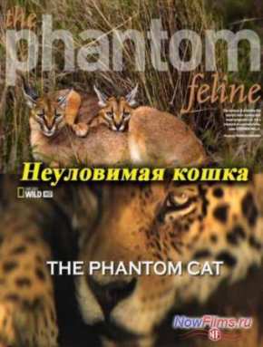 Неуловимая кошка (2012)