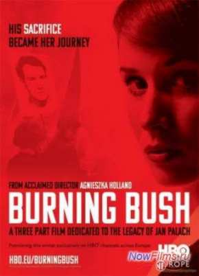 Неопалимая купина (2013)