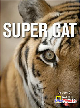 Суперкошка (2013)