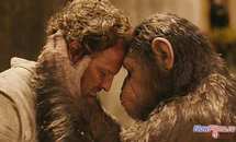 Чем порадует «Планета обезьян: Революция». Чем порадует «Планета обезьян: Революция».