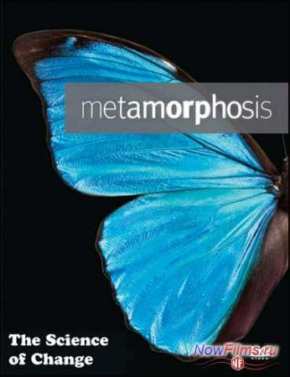 BBC: Искусство перевоплощения - метаморфоз (2013)