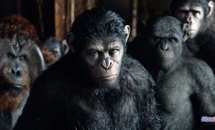 Самые ожидаемые фильмы августа 2014 года. Самые ожидаемые фильмы августа 2014 года.