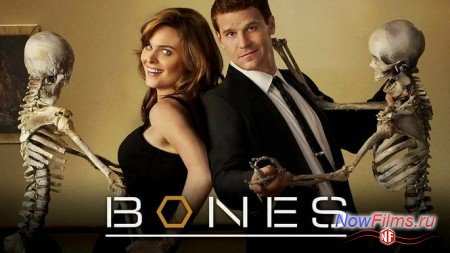 СТС выпустит адаптированные под россиян «Кости» СТС выпустит адаптированные под россиян «Кости»