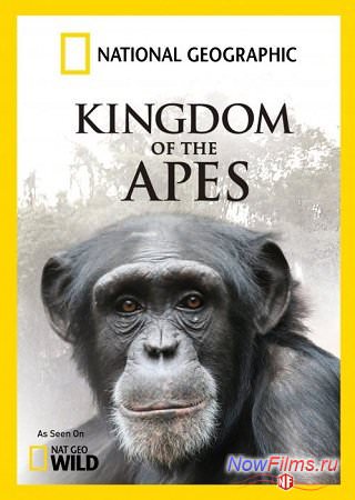 Королевство обезьян: Брат на брата (2014)